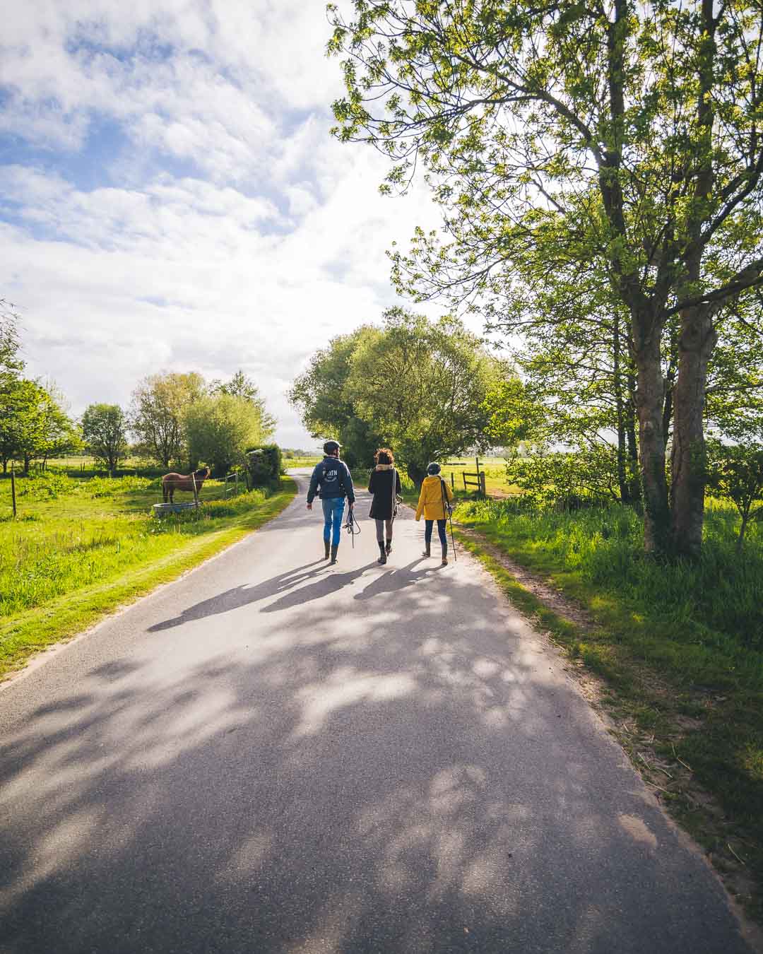 walking to the horses pen