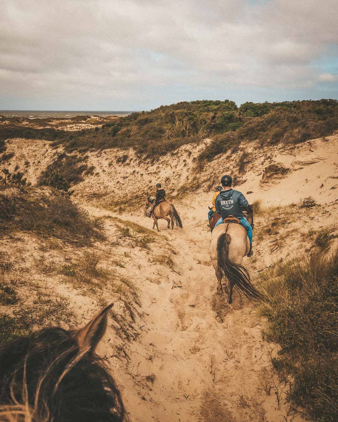 going down the sand dunes