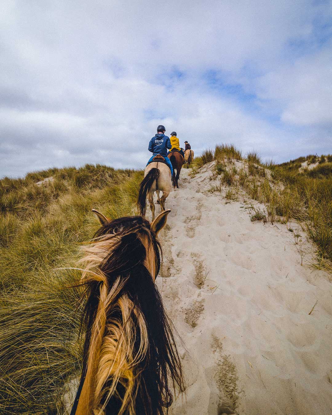 going up the sand dunes