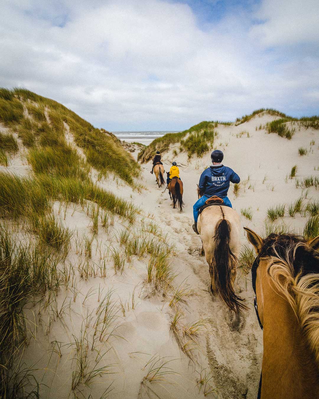 horseback riding in baie de somme sand dunes