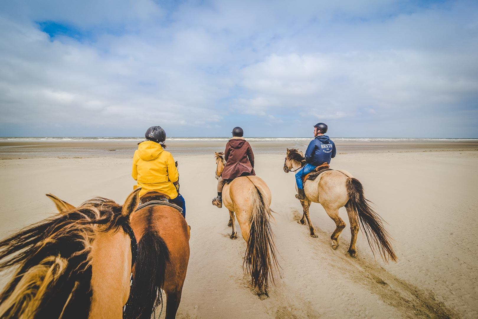 horse riding on the beach