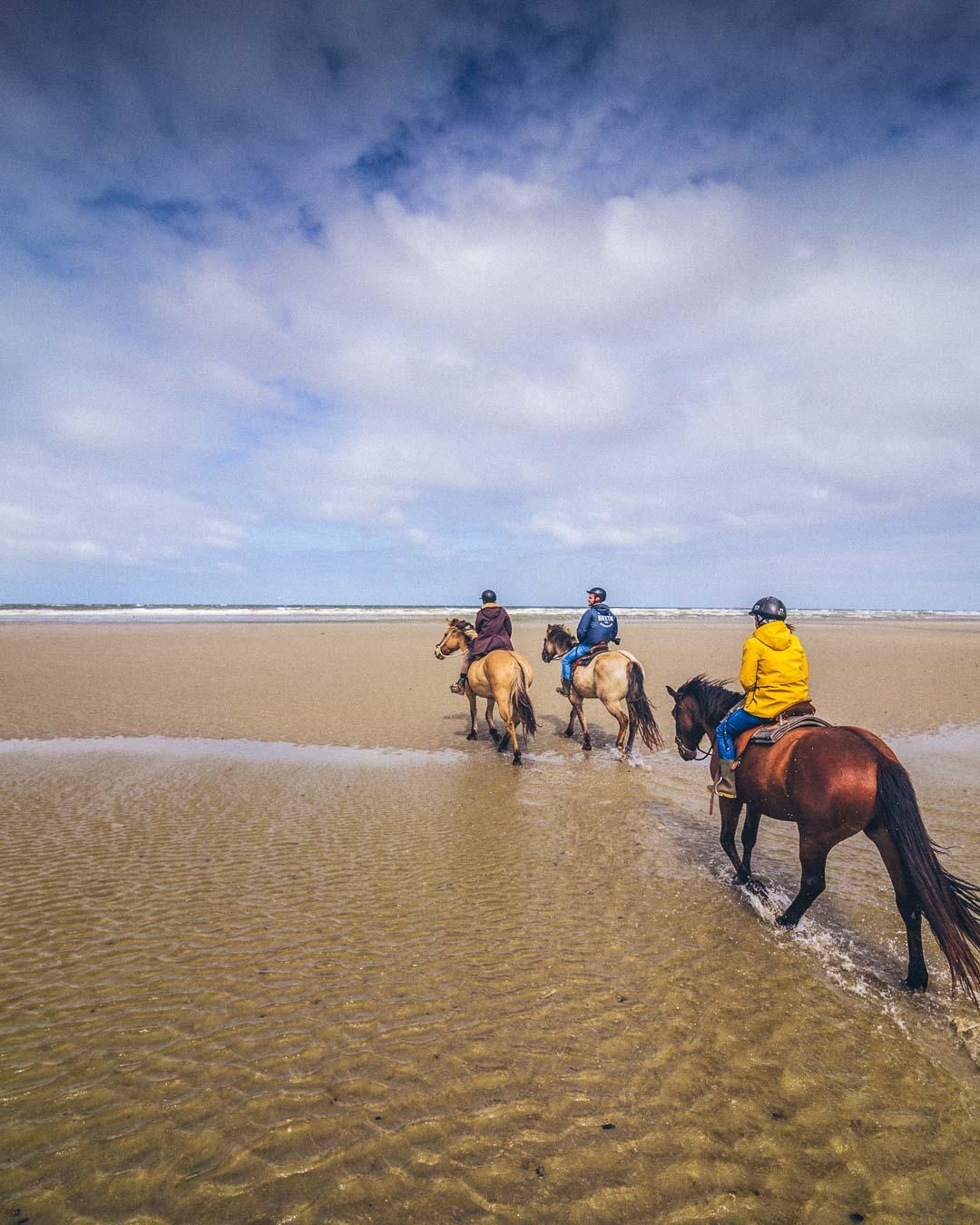 crossing a river on the beach in the baie de somme