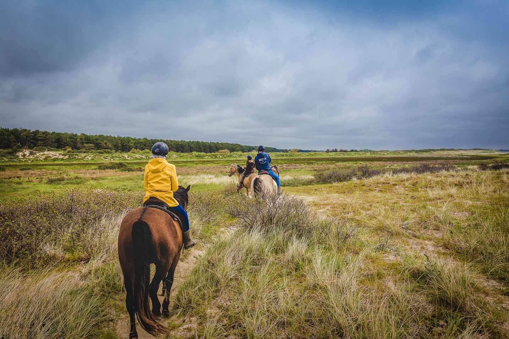 horseback riding in open fields