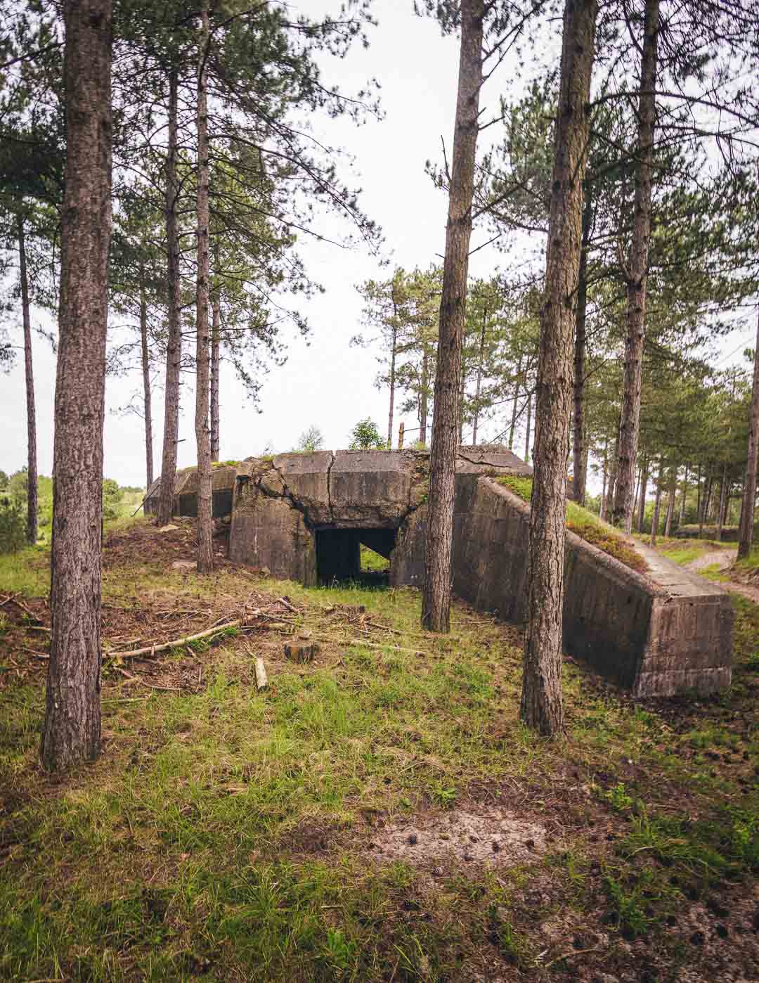 old world war 2 bunker