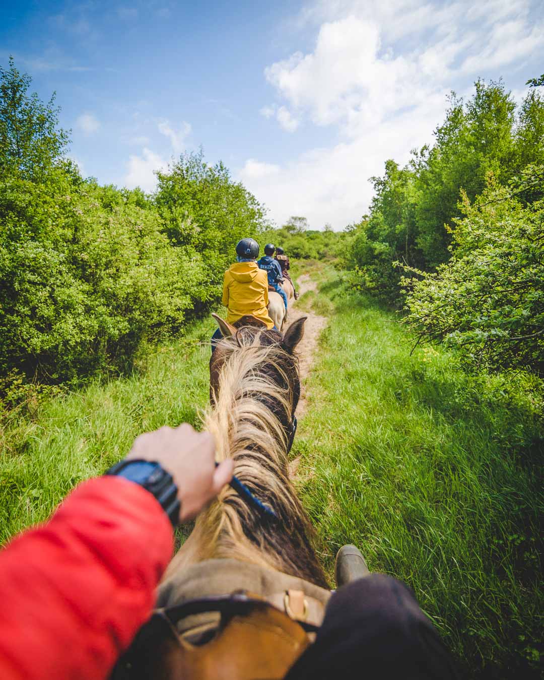 horseback riding in the domaine du marquenterre