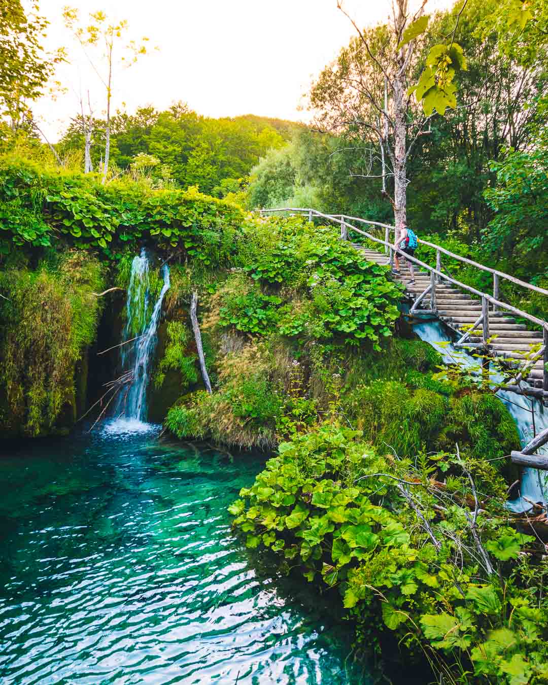 raphael on a wooden path over waterfalls