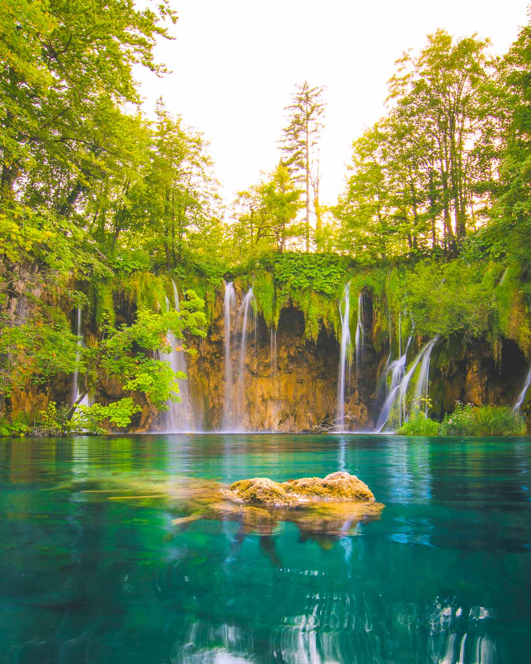 waterfall with dead tree in plitvice