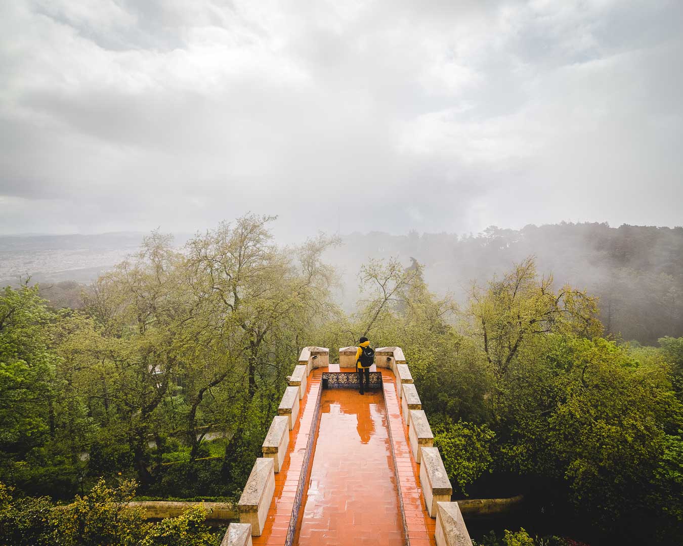 misty weather over pena park