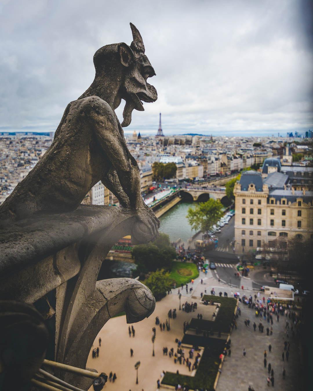 gargoyle of notre dame de paris