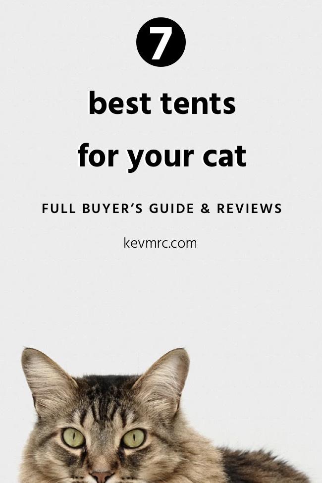 The best tent for your cat. Looking for the best cat tents? Stop searching; this is the right guide for you! We’ll see the best tents for cats available on the market today, with complete reviews. Cat best tent | Cat accessories | Pet accessories for apartment #cat #accessories