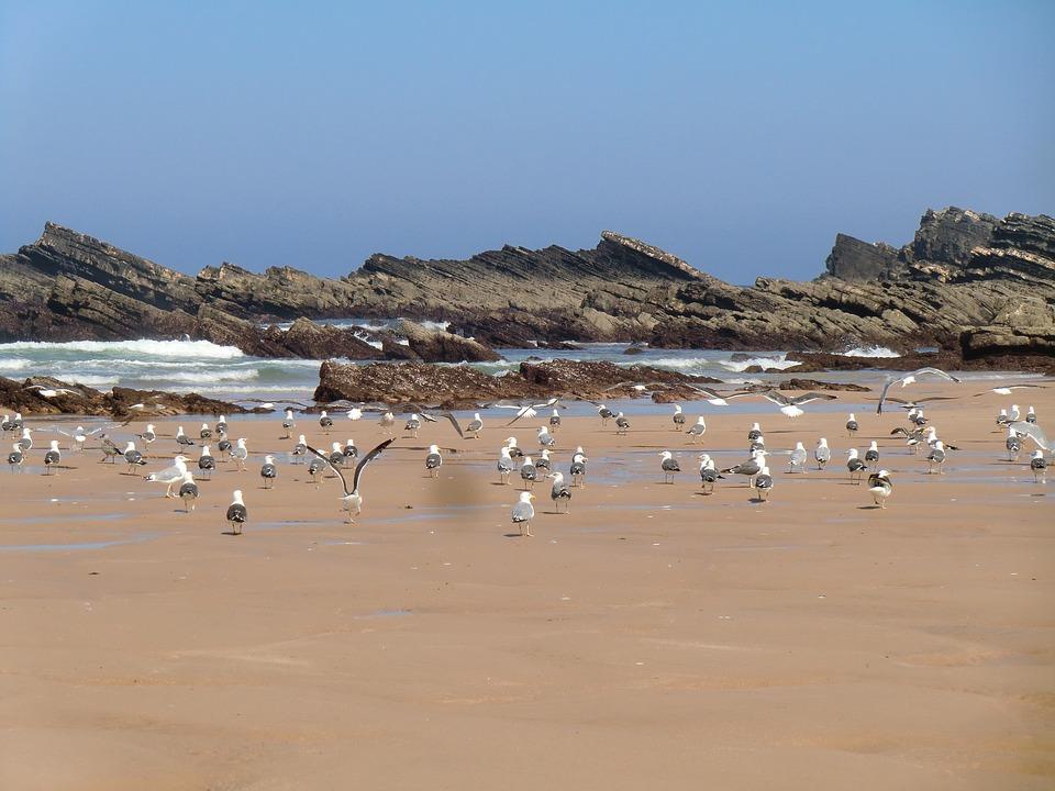 portugal alentejo vicentina coast