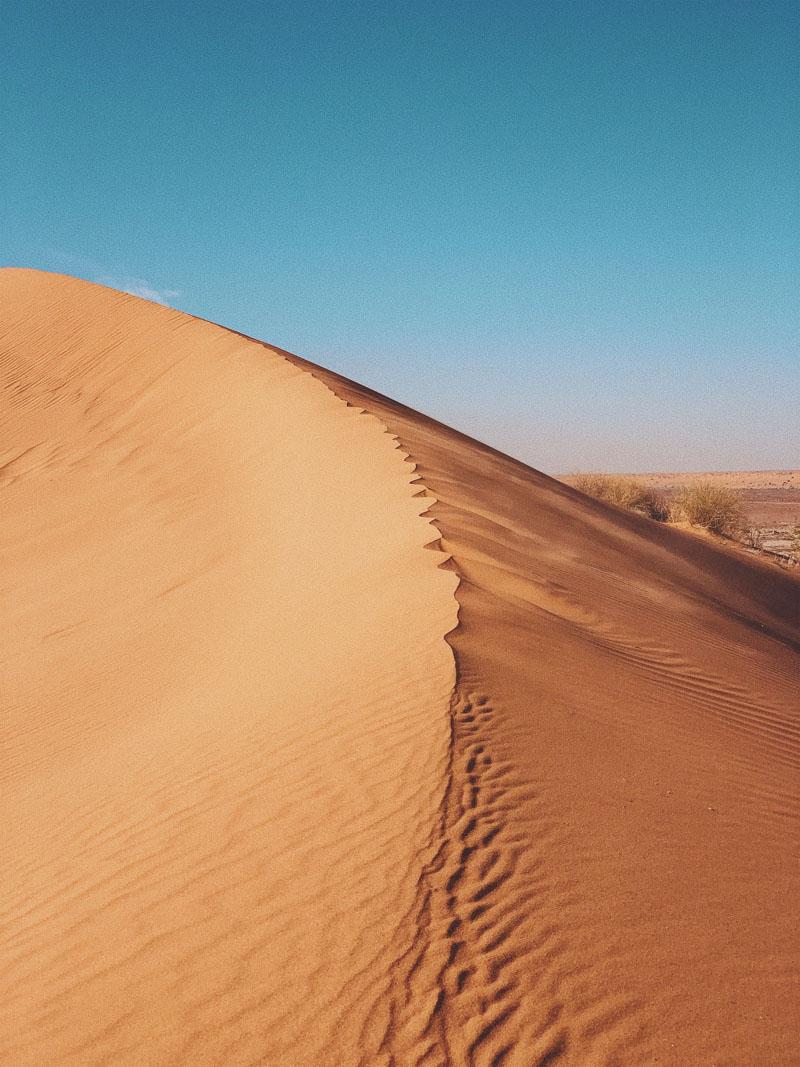 big red sand dunes is one of the best attractions in queensland australia