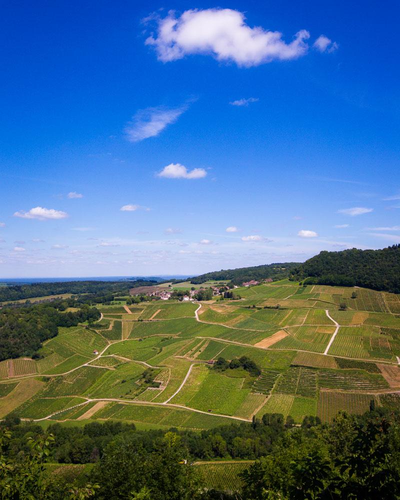 view from chateau chalon village