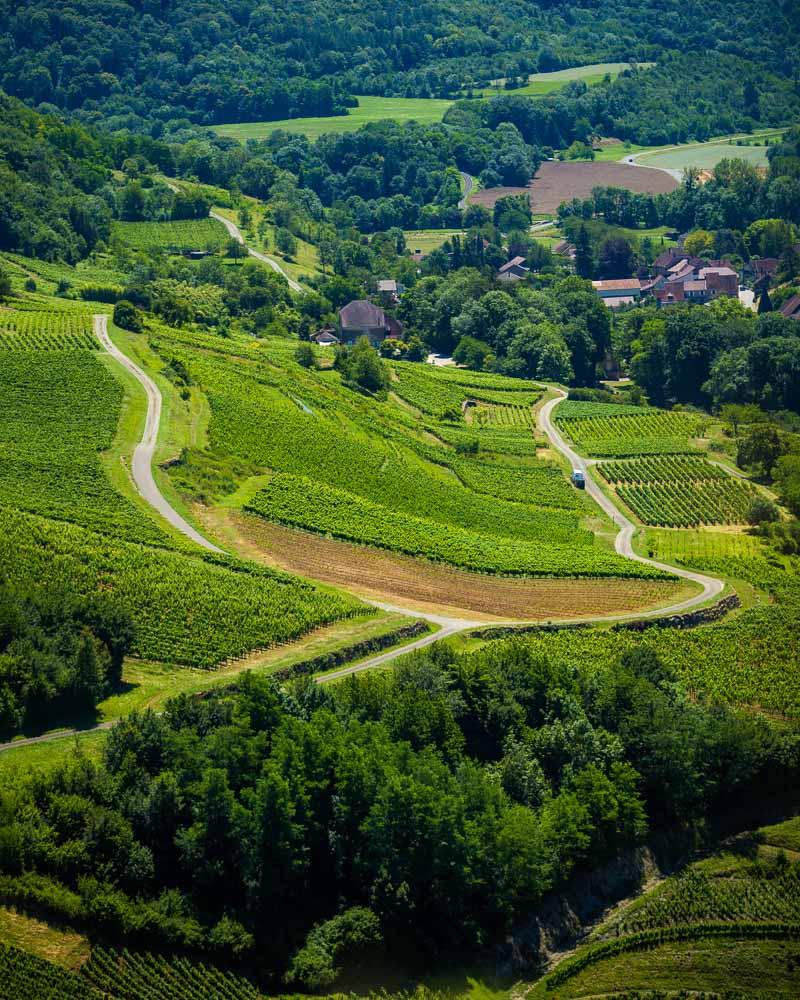route des vignes from chateau chalon