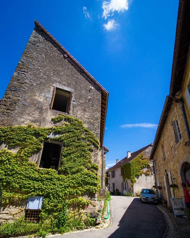 house covered in vine chateau chalon