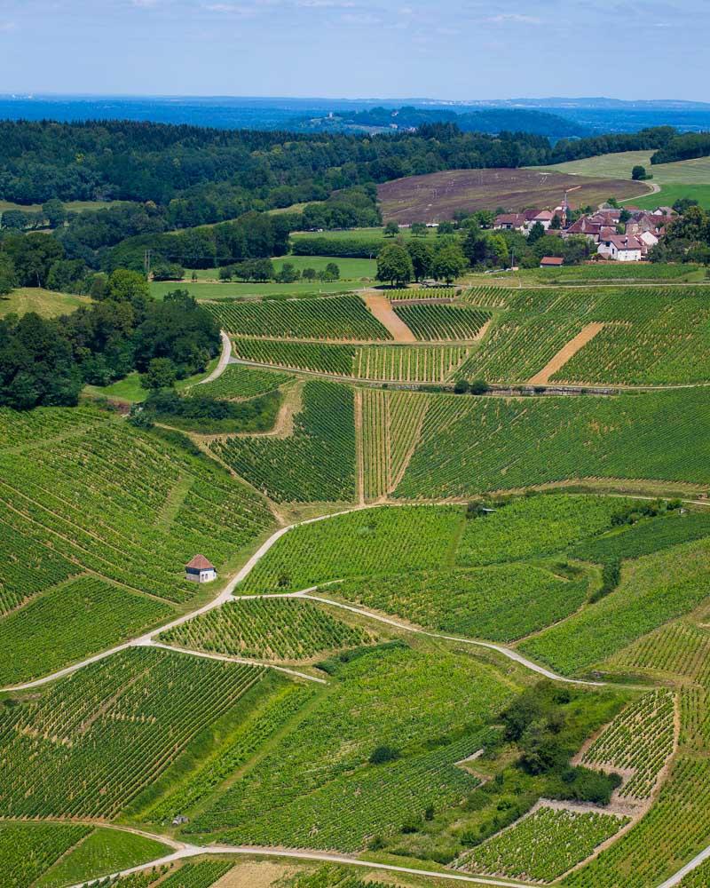 vin blanc vignoble in chateau chalon