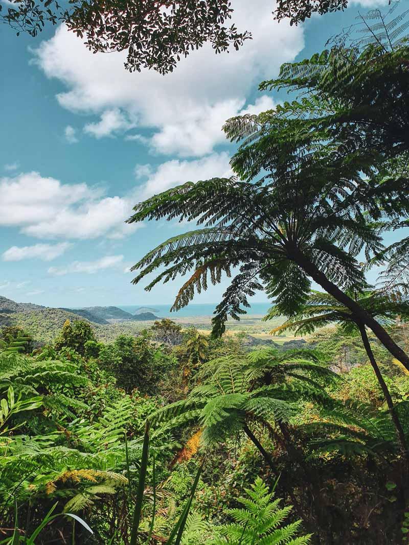 daintree national park is one the best landmarks queensland