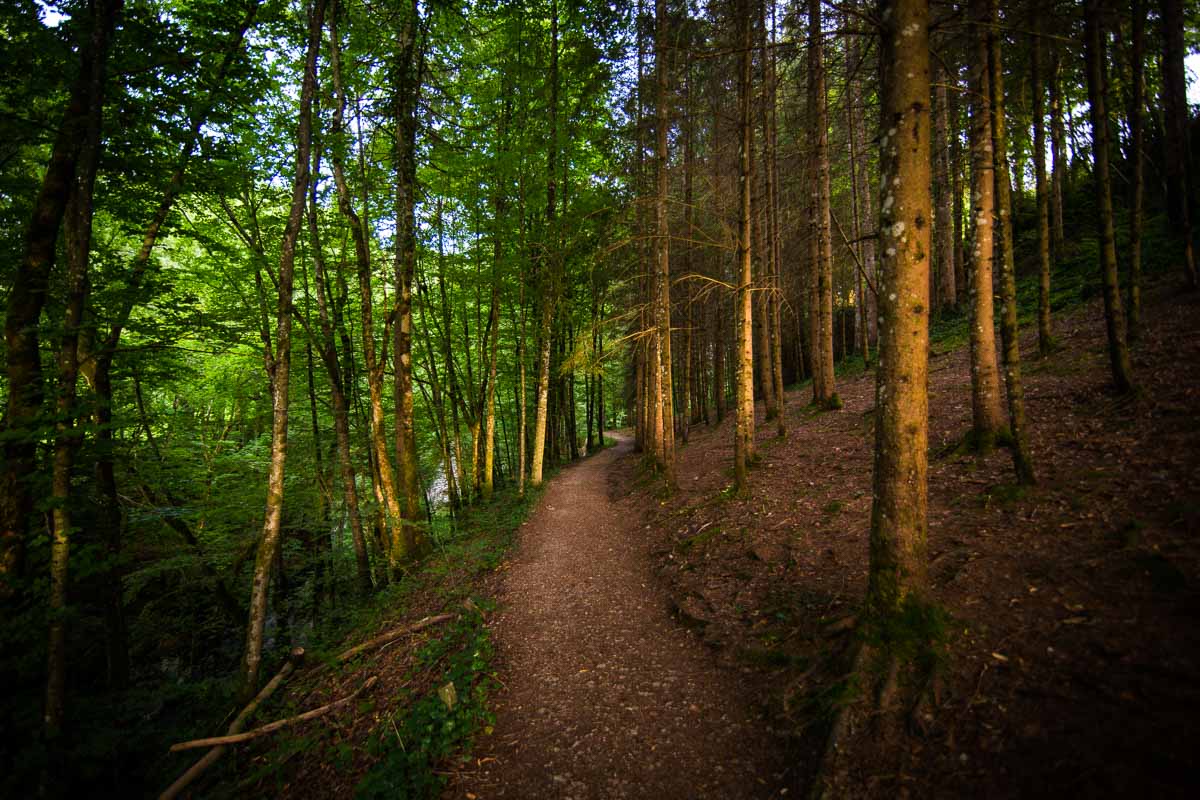 randonnee gorges de la langouette in the forest