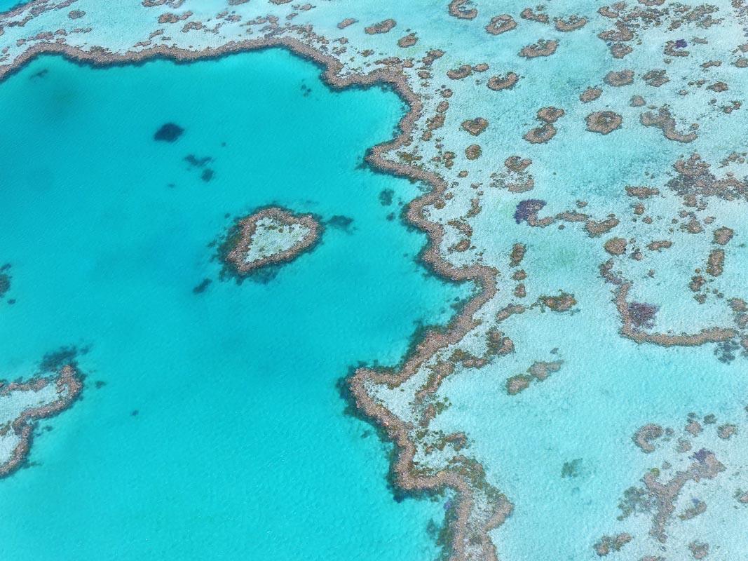 great barrier reef is one of the most famous landmarks in queensland australia
