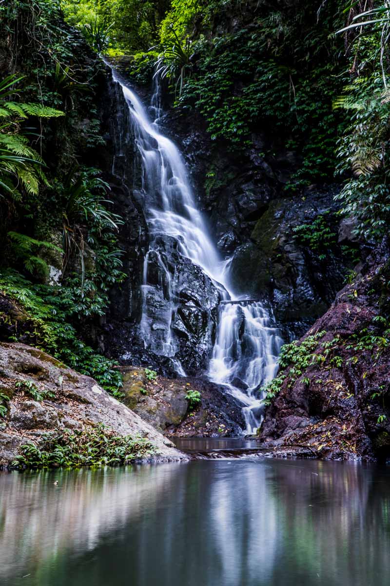 lamington is one of the most famous australian landmarks in queensland