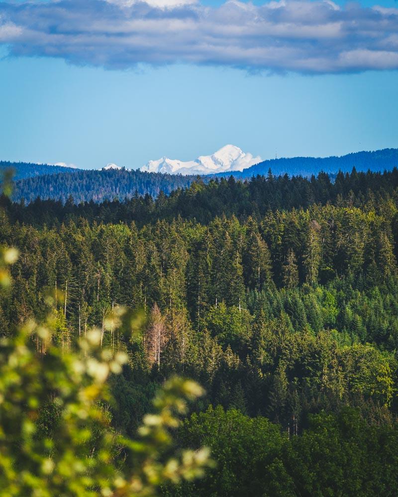 mont blanc from pic de l'aigle