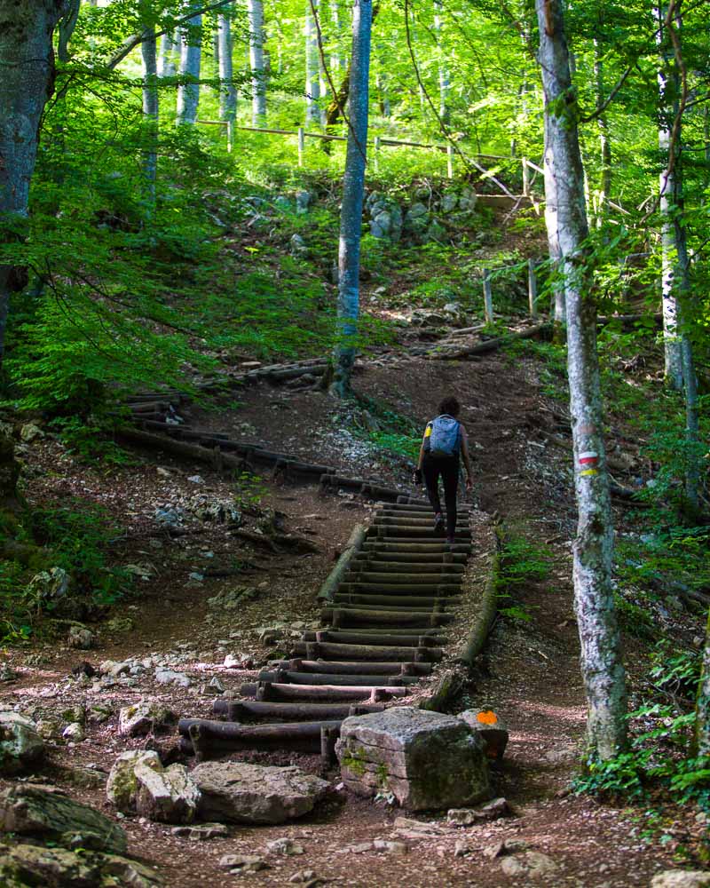 start of the pic de l'aigle hike