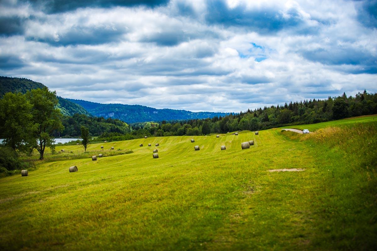 green field along the lac d'ilay