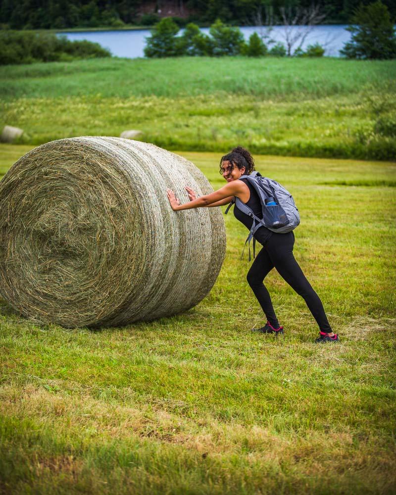 nesrine trying to push a haystack