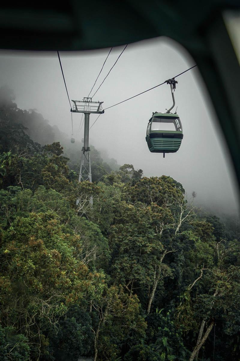 skyrail rainforest cableway is one of the best man made landmarks in queensland