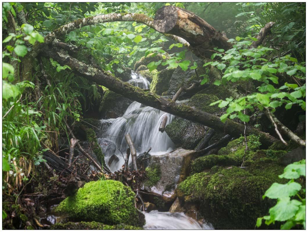 small waterfall around the cascada xiblu asturias