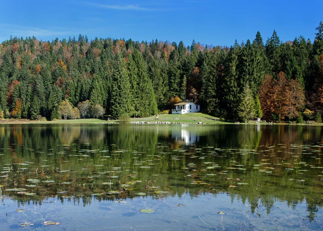 cabin on the lac genin