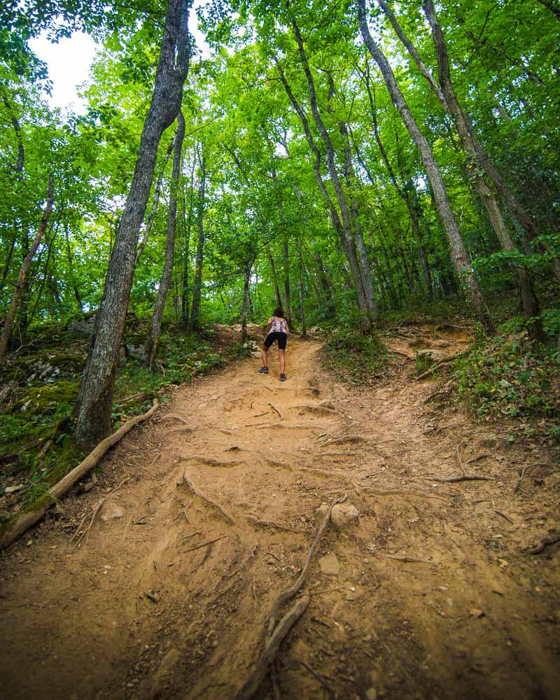 steep climb on forest trail in sevrier