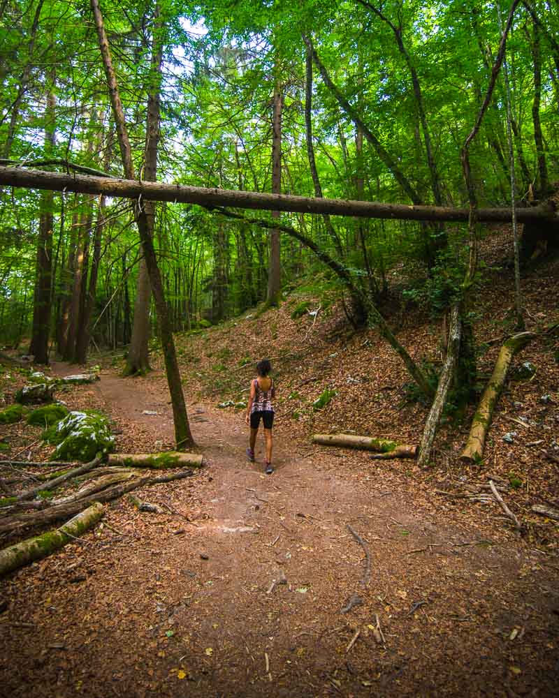 nesrine hiking under a fallen tree