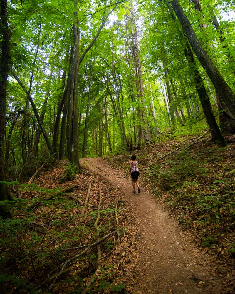 nesrine walking in the forest