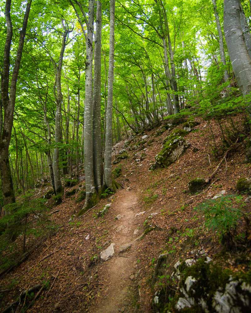 start of mont baron hike