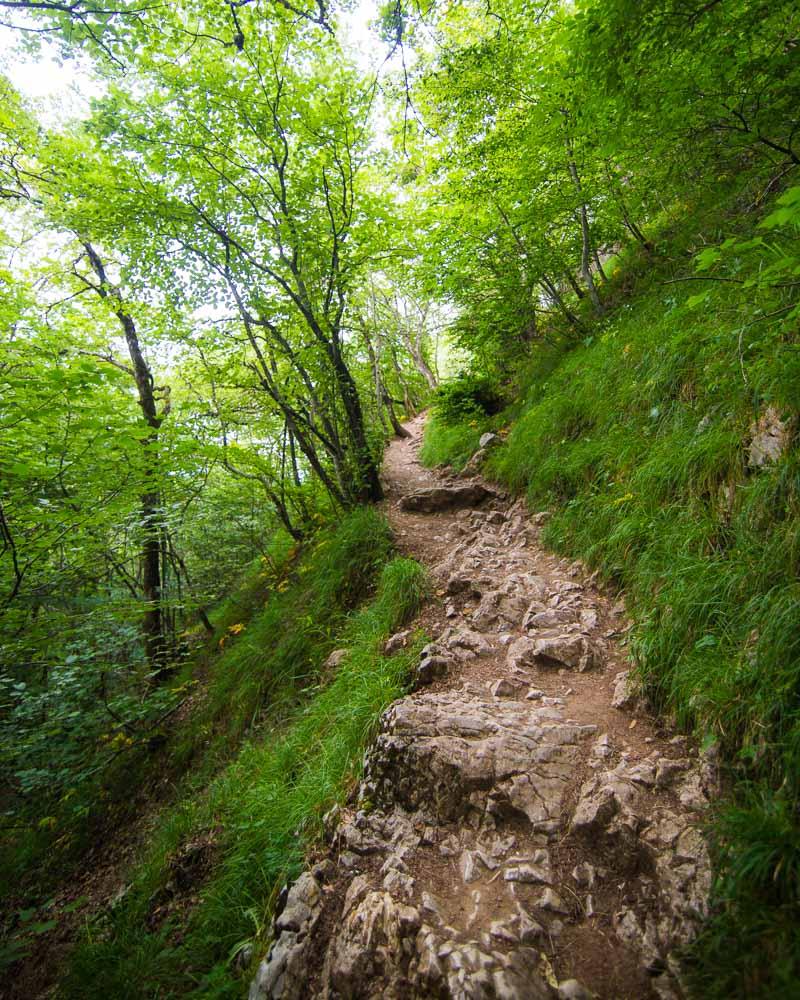 climb to mont baron forest trail