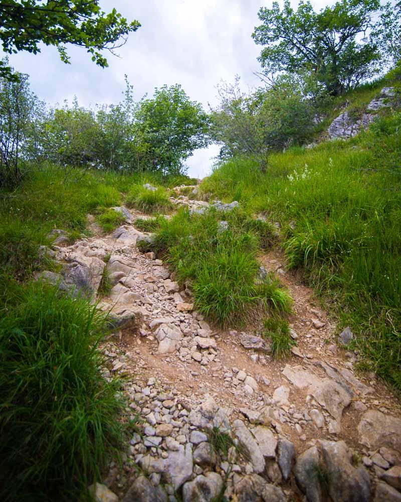 getting out on the mont baron ridge