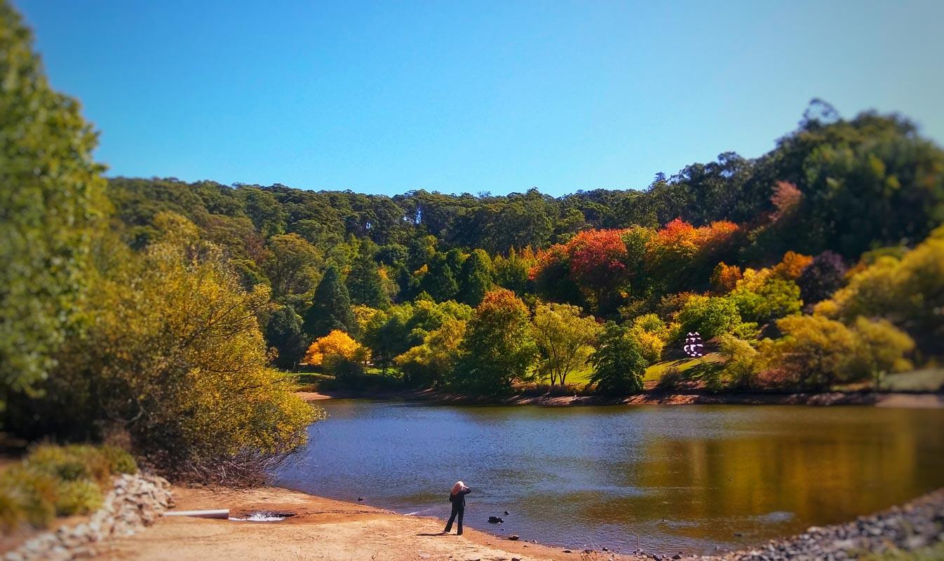 mount lofty botanic garden