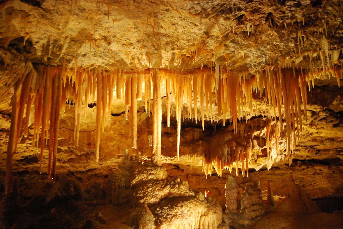 naracoorte caves national park is one of the best natural landmarks in south australia