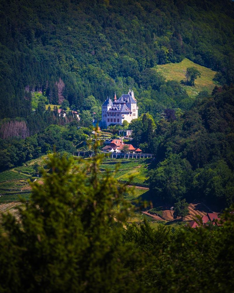 chateau de menthon from roc de chere