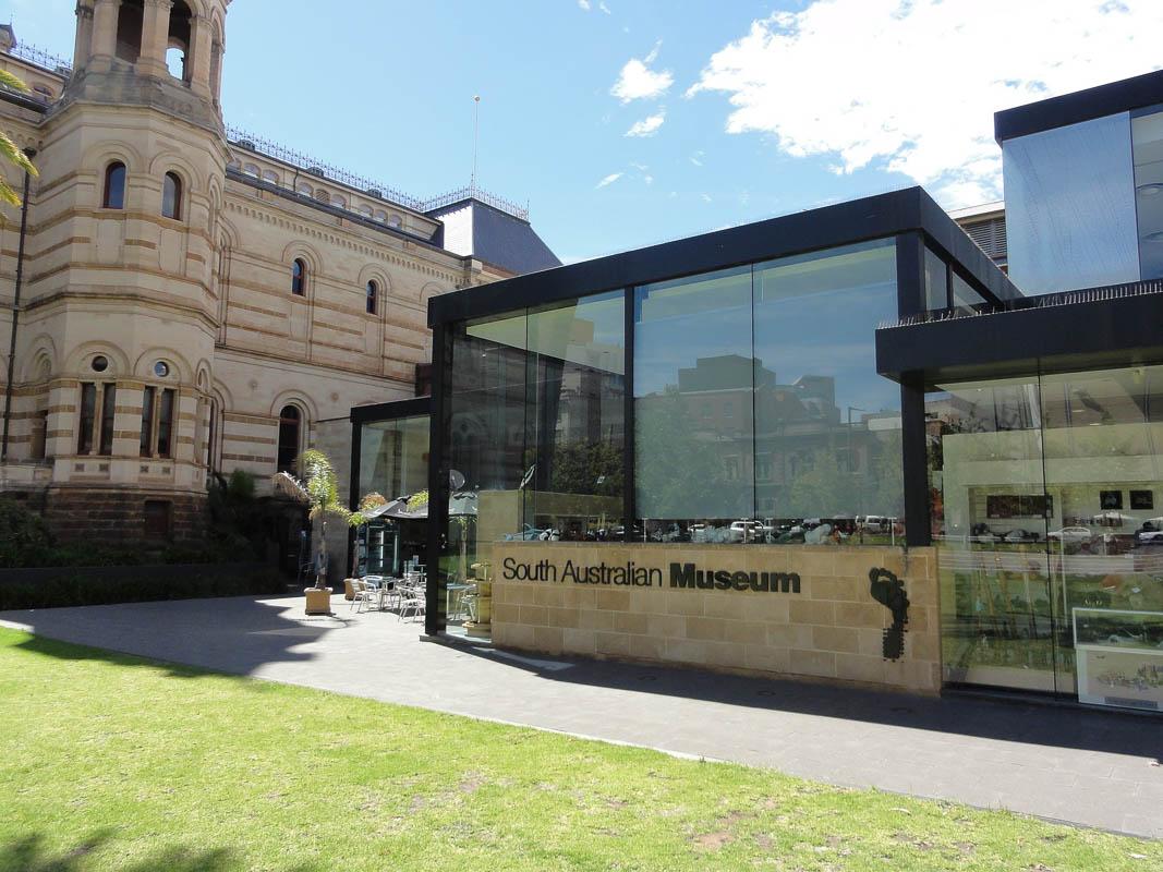 south australian museum is one of the best man made landmarks in south australia