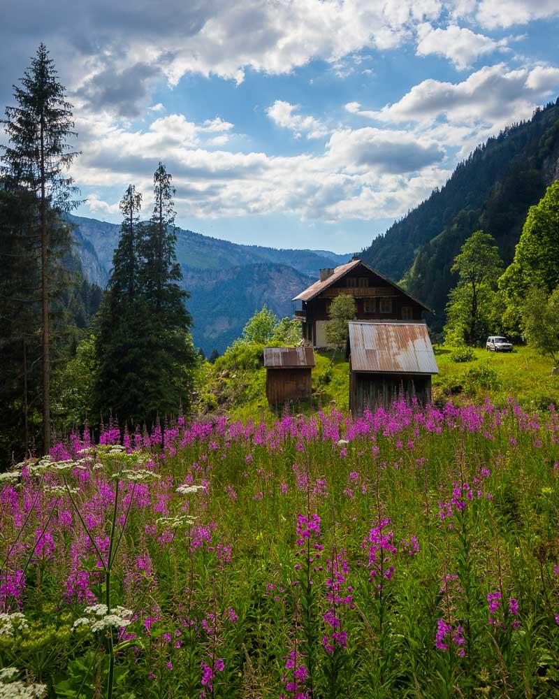 wood cabins at the cirque des fonts