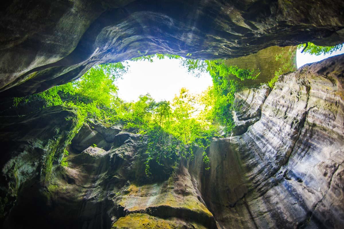 looking up at the cliffs above gorges du fier