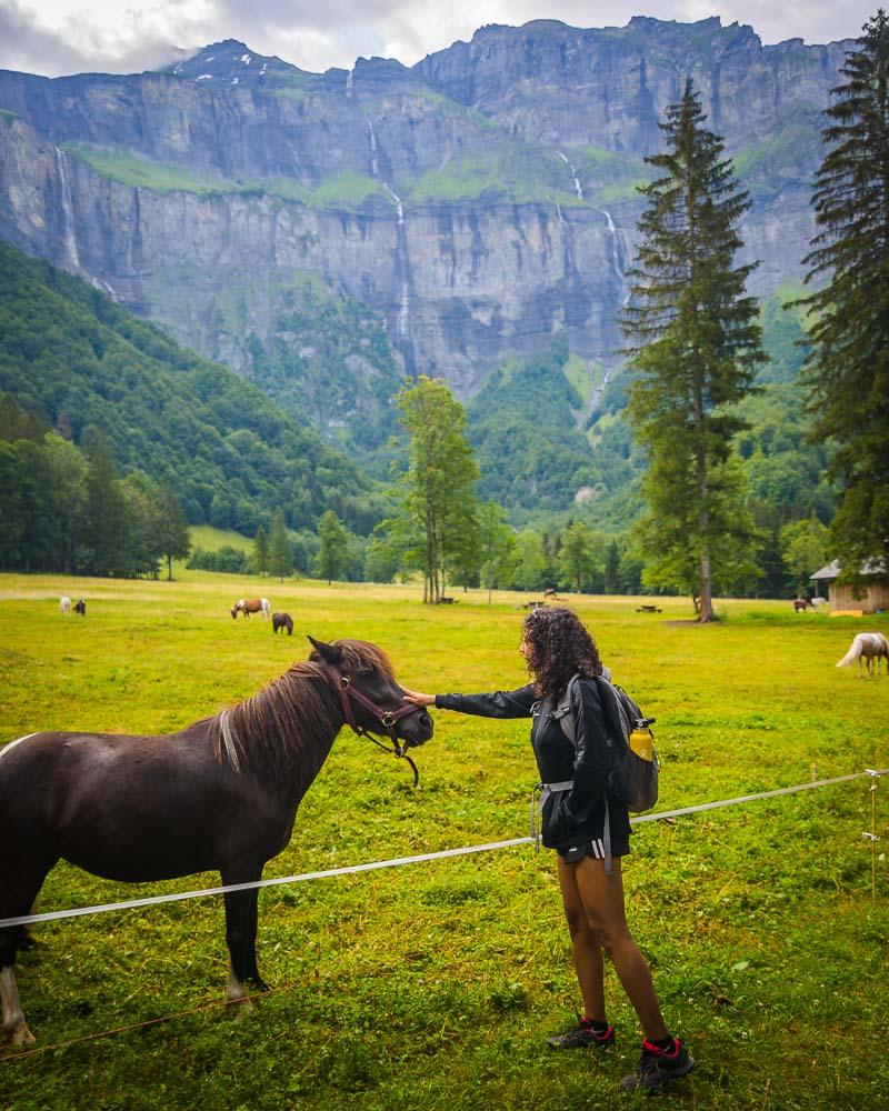 nesrine petting a pony