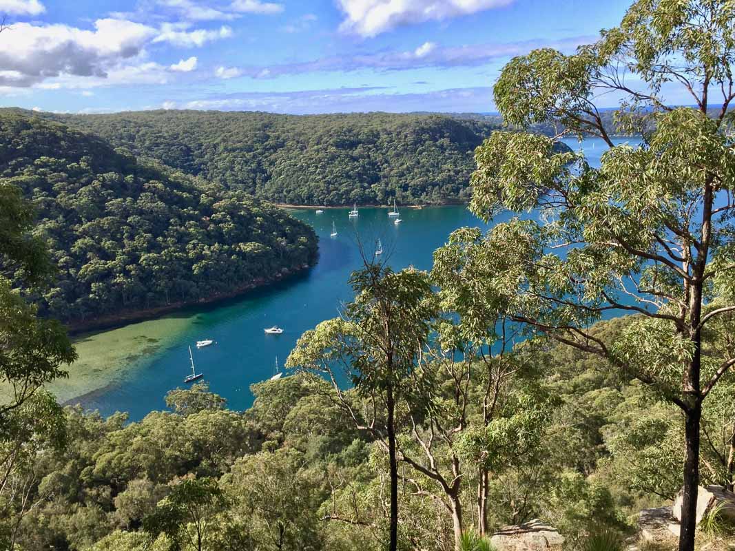 ku-ring-gai chase national park is one of the best landmarks of sydney australia