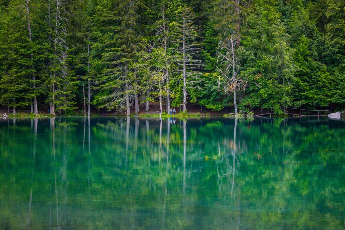 all green lac vert