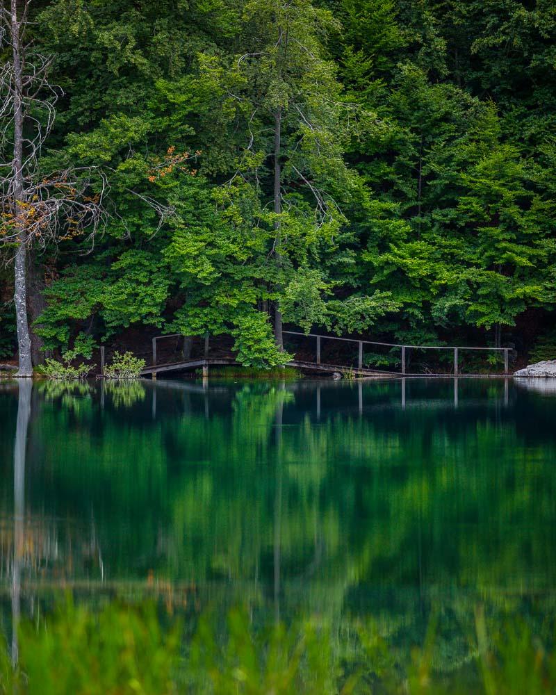 wooden bridge in lac vert passy