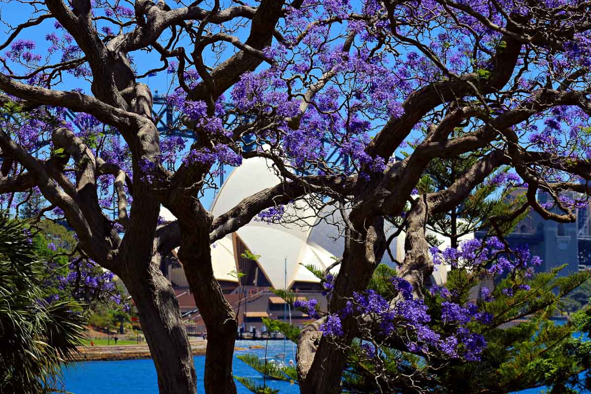 royal botanic garden is one of the best sydney australia famous landmarks