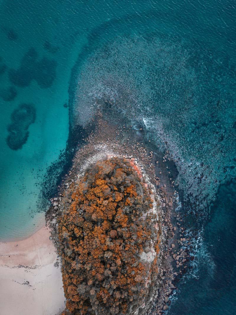 shelly beach is a famous sydney landmark