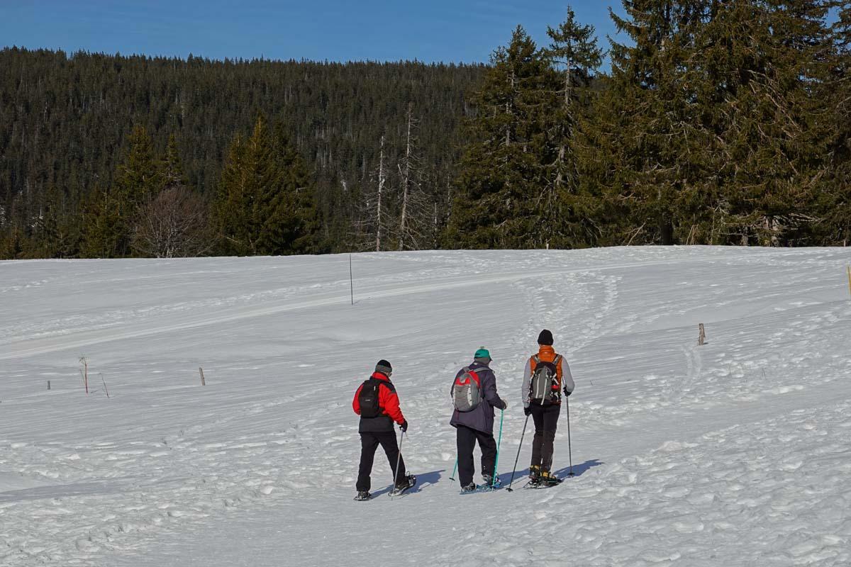 snowshoe hike things to do in annecy in winter